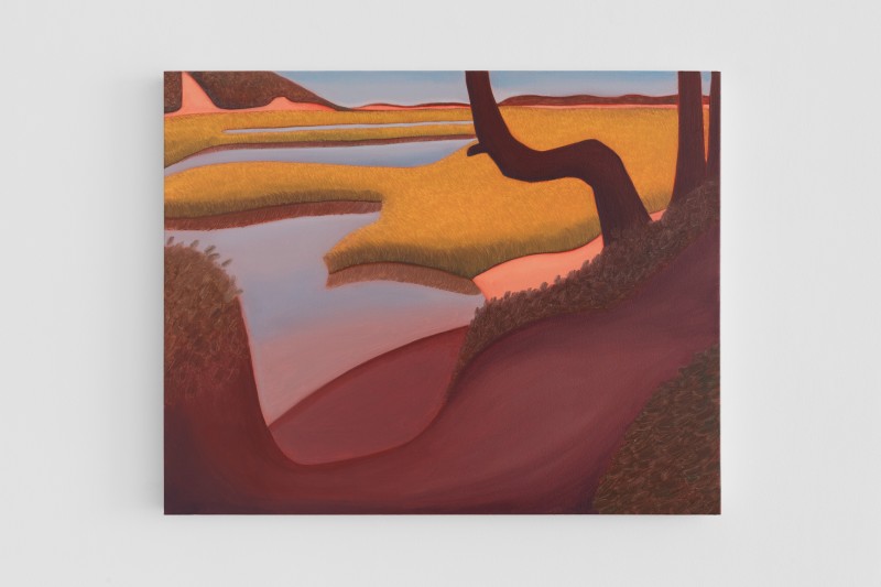 purple Shadow (Herring Cove)