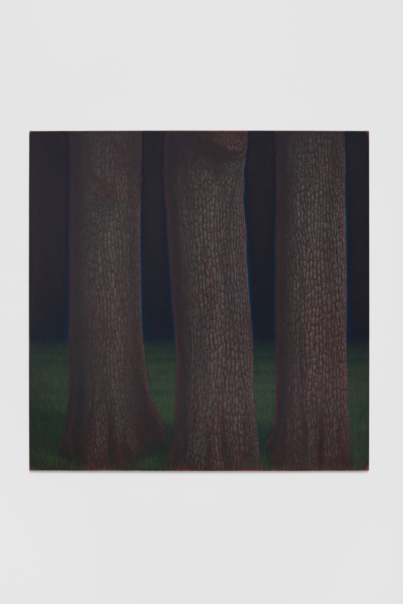 FAMILIAR SURROUNDINGS