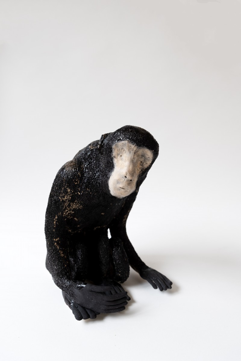 Le Singe