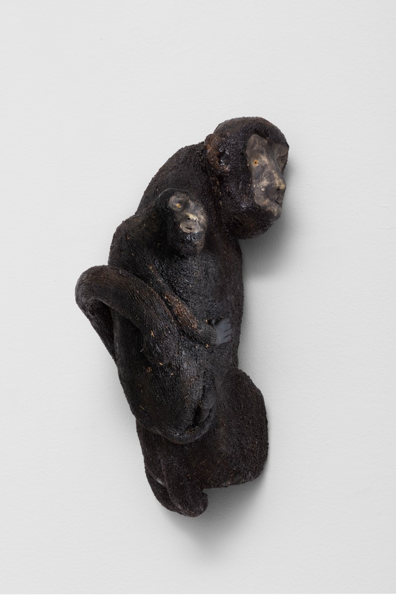 La Maman Singe et le Petit