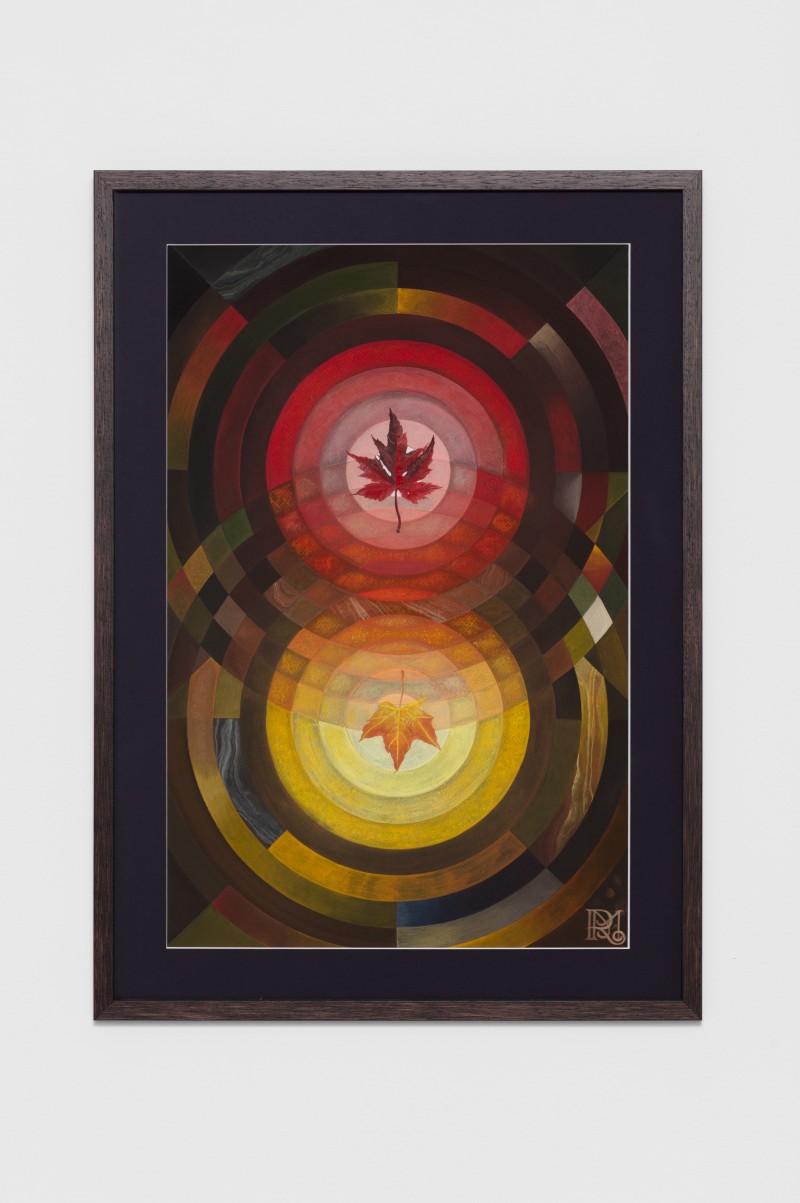 Variation and Spectrum (October Maple Leaf)