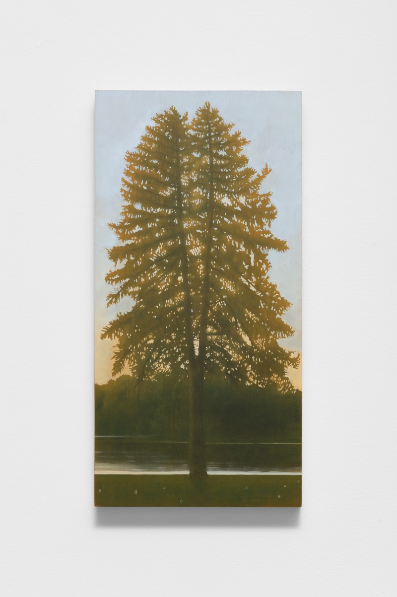 Resilient Pine, Still Water