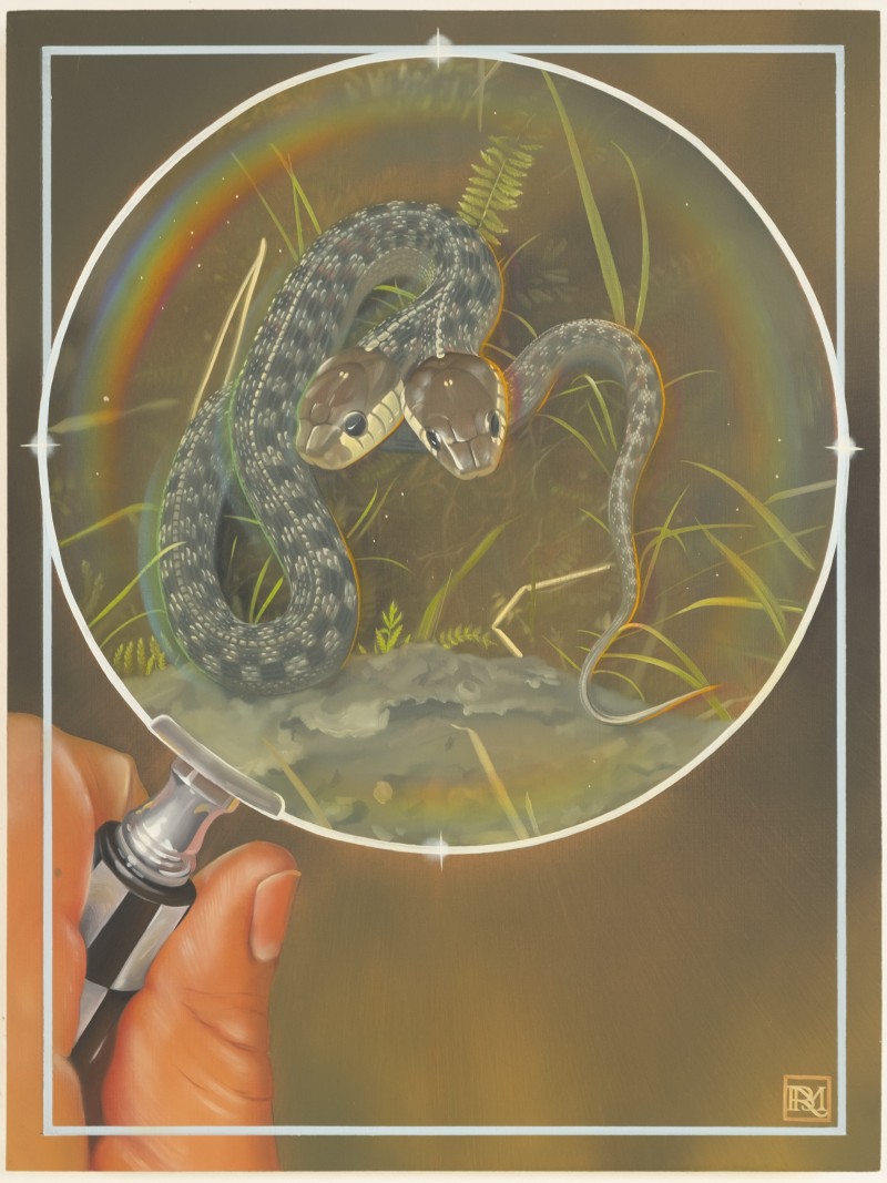 Thamnophis Sirtalis Sirtalis (Does the two-headed snake get one name or two?)